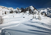 38 la traccia nella neve , fortuna mia, continua
